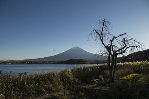 冬天旅游去哪里好玩又便宜，冬天旅游去哪里好玩又便宜离浙江省
