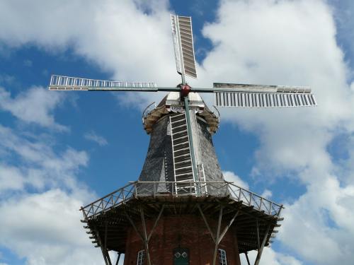 电影《锐评|“塞鸟”来了，国足能创造奇迹吗？》解说文案