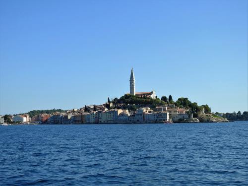 《行色》：以“手术刀”剖开了知识分子群体的精神年轮