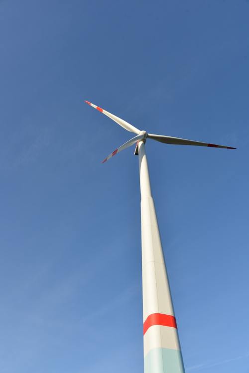 非遗传承与公益同行，高校学子助力“风雅西北湖”樱花艺术季活动