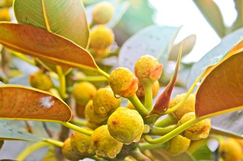 Fire service donates kit for latest Ukraine convoy