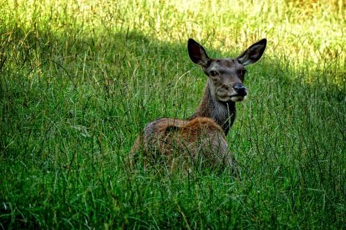 'Everyone should be excited by this' - England appoint Edwards as head coach