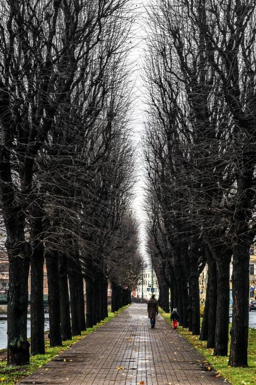 The slow but steady advance of driverless vehicles