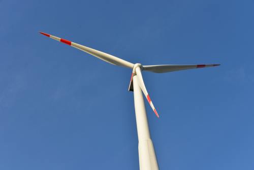上海供卵機構-健康元 地溝油偏方大全