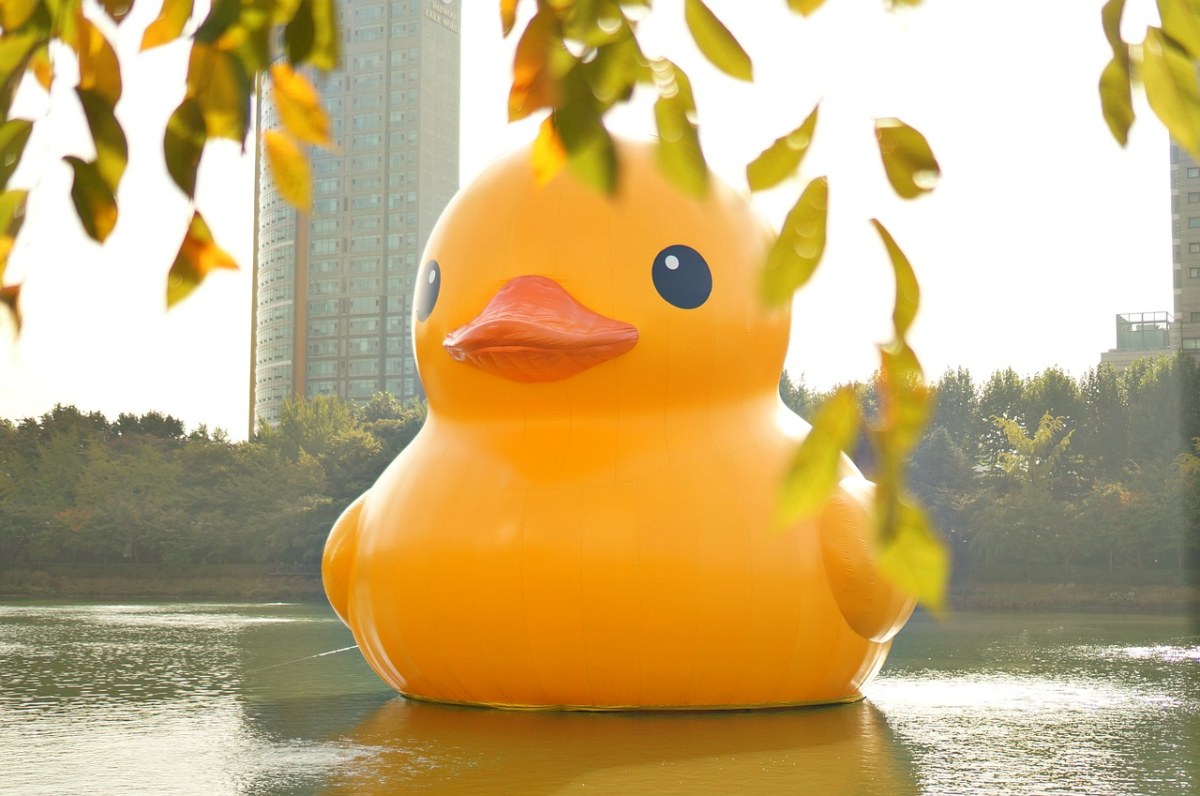 橡皮鸭、鸭免费图片