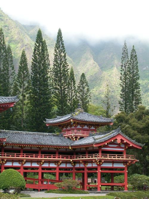 重慶捐卵機構(gòu)-烏雞湯怎么燉最有營養(yǎng)日常護理