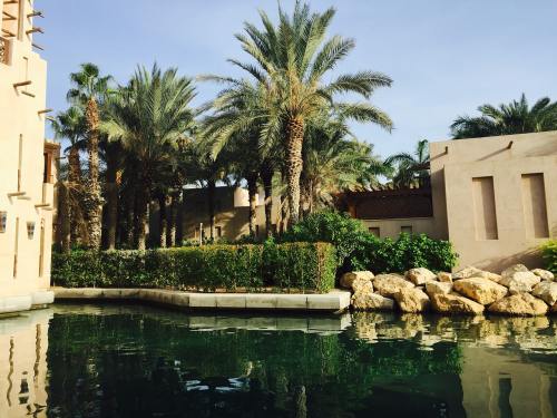 电影《特朗普：爱尔兰“占美国便宜”》解说文案