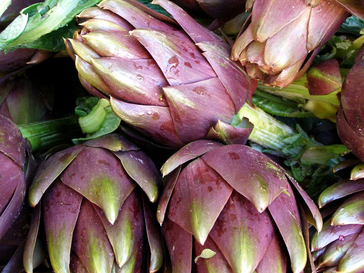 朝鲜蓟、蔬菜、厂免费图片