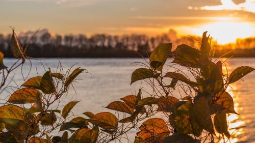 桃花、油菜花海待打卡 成都金堂赏花正当季｜在四川 遇见最美春天
