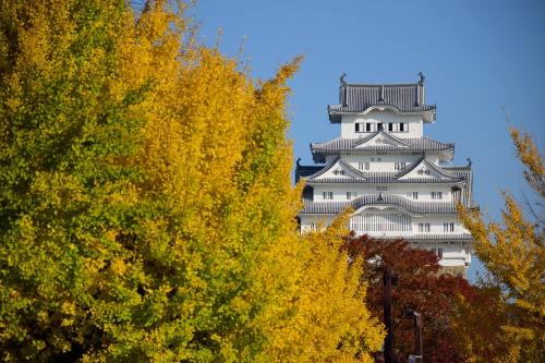 冬天旅游城市，冬天旅游城市排行榜