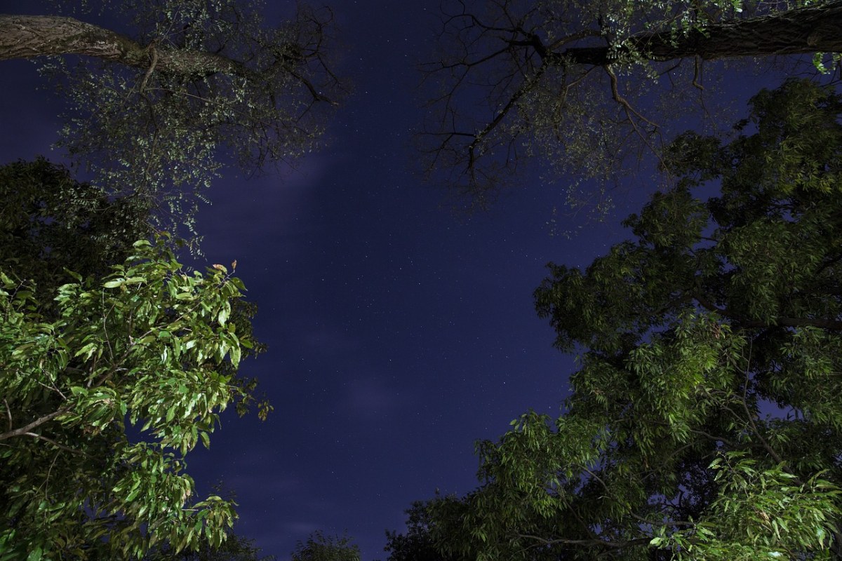 夜晚的天空,银河,星星