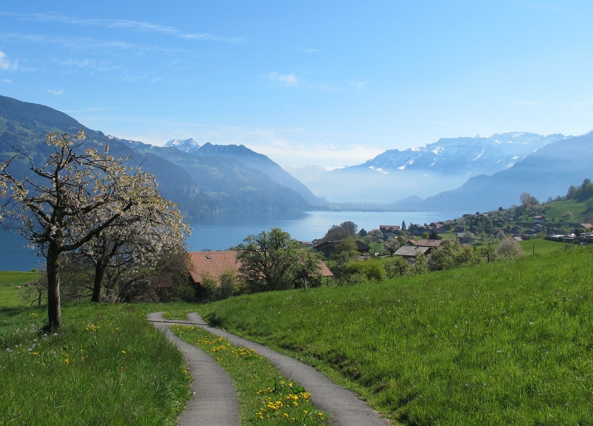 湖边的村庄与草地春天风景免费图片