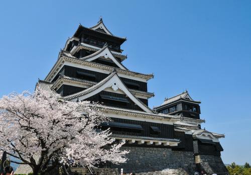 日本天守阁与春天的樱花图片