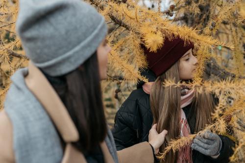 昆明捐卵機構聯系方式-伸筋草的藥用功效與主治怎么調理