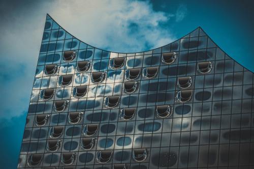 武汉城墙樱花霸屏，游客：不愧是武汉的“文艺心脏”