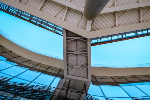 Olympian jailed for 21 years for raping teenagers