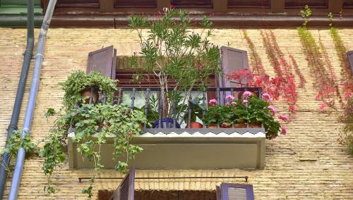 Why England's 'warrior queen' is the perfect captain