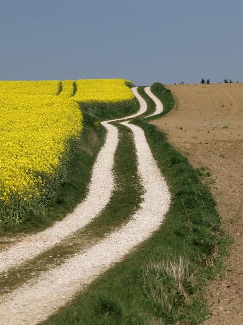 百姓赶集网（赶集网二手物品）