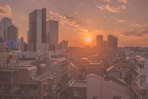 Haaland out for up to seven weeks with ankle injury