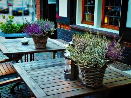 创下4个“世界之最”！湖北荆州观音寺长江大桥南岸主塔封顶