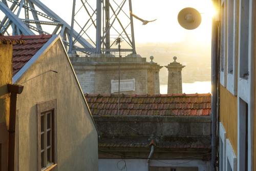 全麦面包，你真的会吃吗？健康选购与食用全攻略