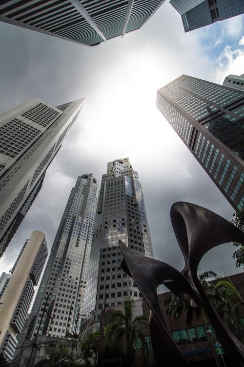 国际旅行达人安娜：武大的樱花就像粉色海洋