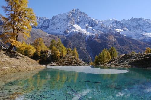 成都旅游攻略自由行攻略2021