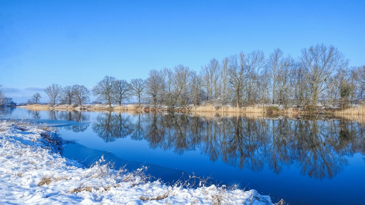 冬天平静的湖泊与湖岸的树免费图片