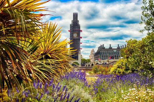 机器人扎堆“上岗”中关村论坛年会