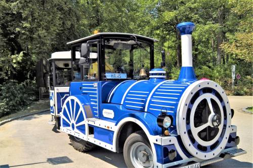 Ulster escape from 'hole' on McCloskey's big night