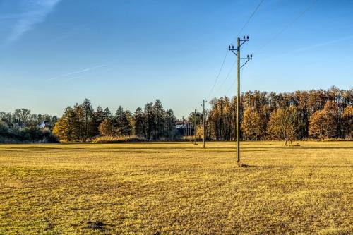 Downie taking break before decision on future