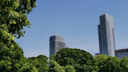 2026最新試管嬰兒技術驗收致辭（開展試管嬰兒技術資質）