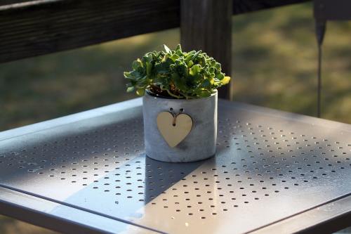 成都供卵機構-內分泌失調吃什么藥