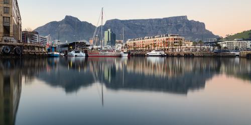 最全攻略来啦！2025武汉东湖樱花季启动