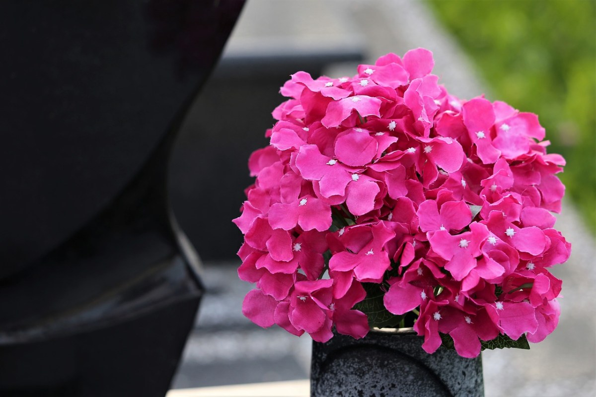 人造花、花瓶、多彩免费图片