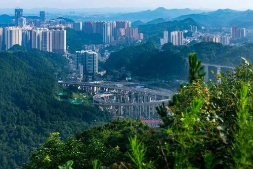 青島捐卵機構聯系方式-五個月寶寶能吃什么怎么調理
