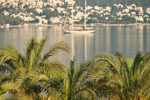 冬天旅游穿搭女高级感,冬天旅游穿什么衣服合适
