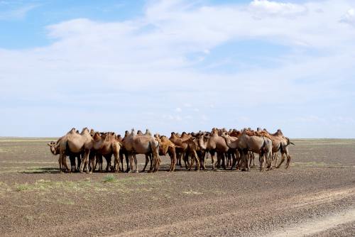 北戴河旅游攻略必玩的景點(diǎn)
