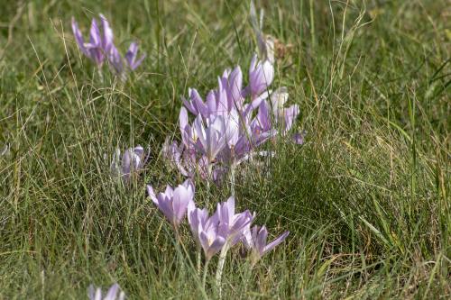 铁路职工李连友：退休不褪色，离岗不离心