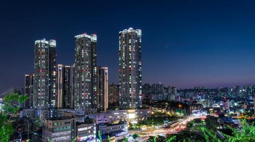 2026最新取卵后移植前檢查(取卵后移植前檢查什么)