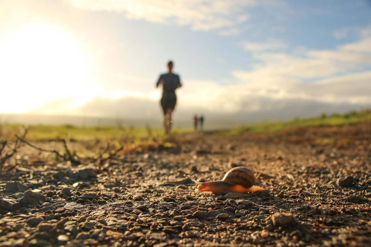 清晨跑步的人与爬行的蜗牛免费图片