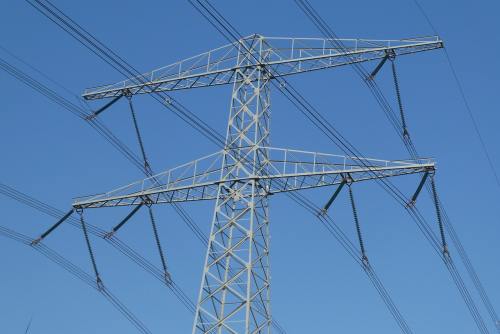 百万株郁金香进入盛花期！静安花朝节迎来高光时刻，还不来打卡？