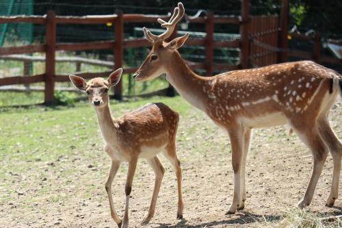 天价频现！理发店暴利背后	：去年竟新增超17万家企业
？