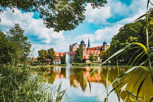 赵露思，突传新消息！