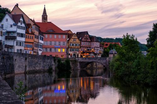 浙江嘉兴：推进中小学人工智能教育