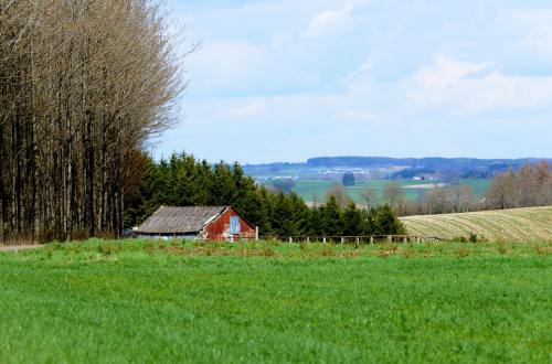农村的草地风景图片