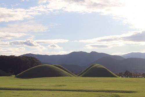 西双版纳旅游必去景点，西双版纳旅游必去景点推荐
