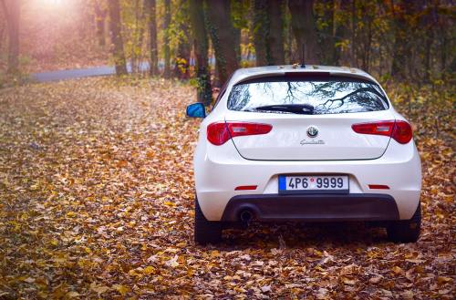 秋天的树林落叶上的小轿车