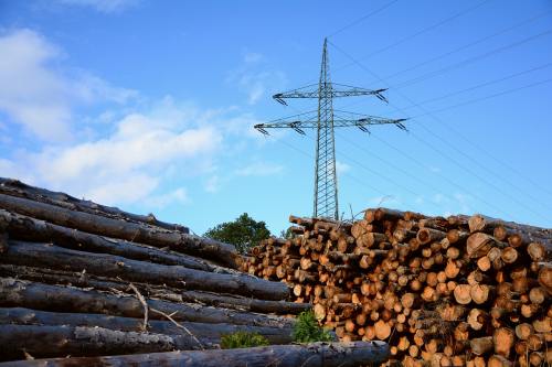 'I've not committed a serious crime, there's no jail term, but it feels like one'