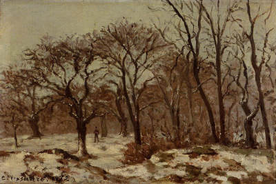 Chestnut Orchard in Winter